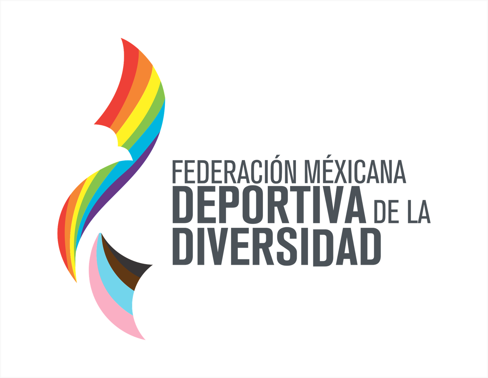 Federación Mexicana Deportiva de la Diversidad