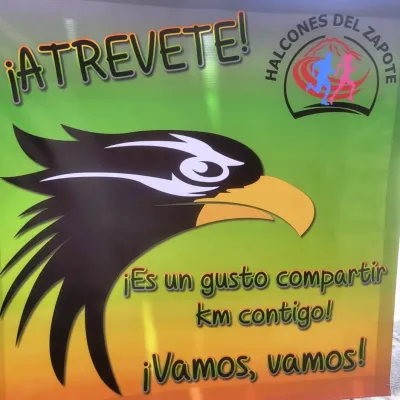 Logo Halcones del Zapote