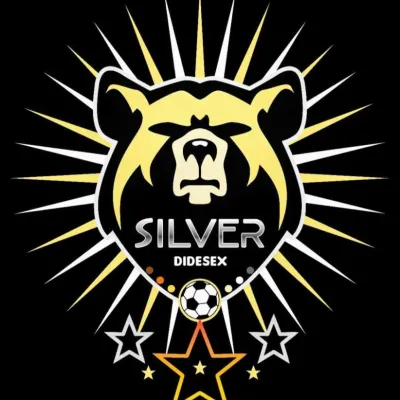 Logo de DIDESEX SILVER